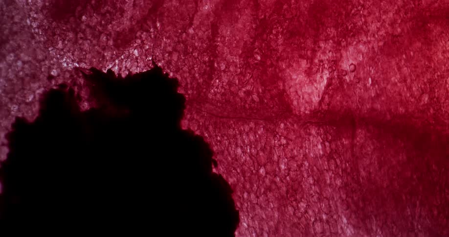 Black ink filling a textured glass stained with red ink