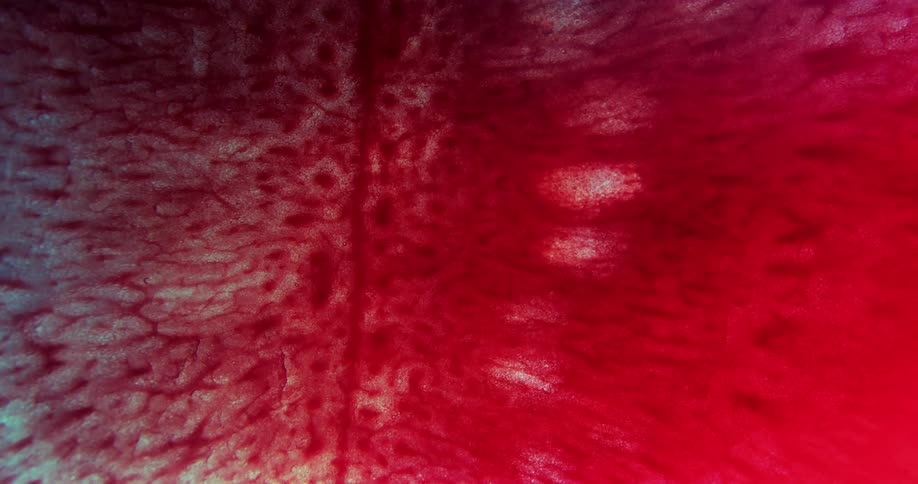 Light colored bubbles and texture rises from a glowing red substance
