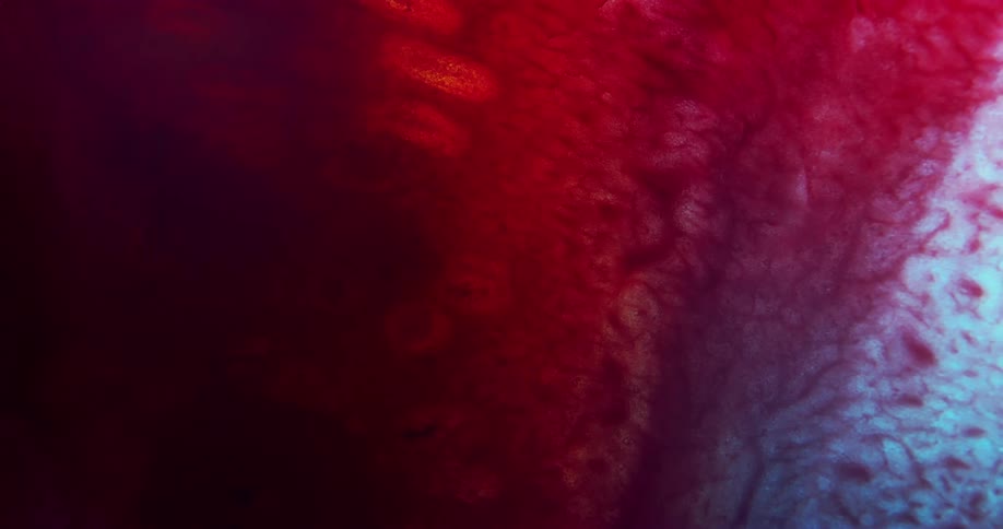 Red veins from red area curve through blue surface