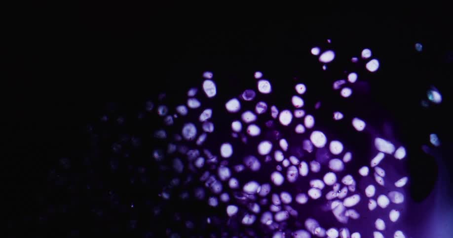 White particles floating in liquid washed away by dark violet ink