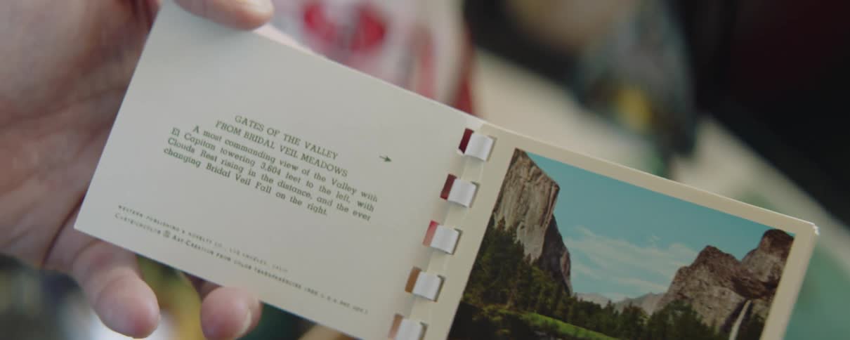 Person stands examining small booklet showing a nature scene