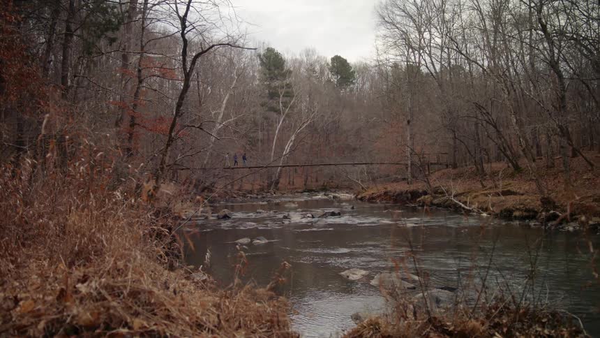 A desolate area of woods with dead brown plants grass and trees is shown surrounding a small river
