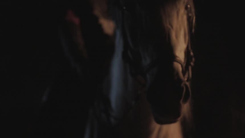 Someone sitting on a horse