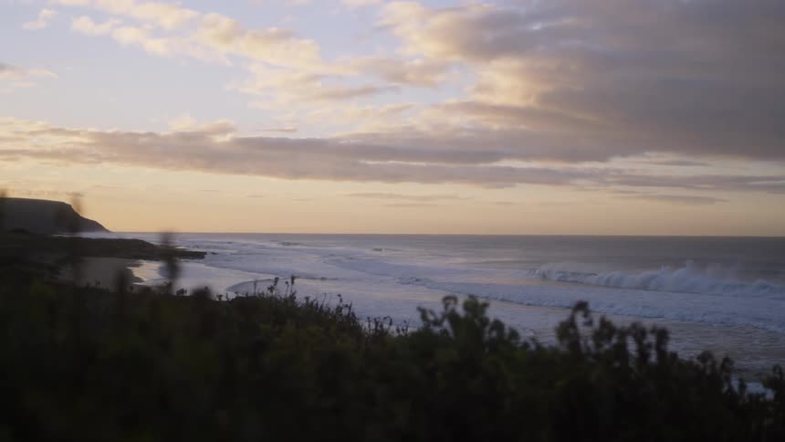 Plants and trees move in the breeze as waves roll into shore under a cloudy sky
