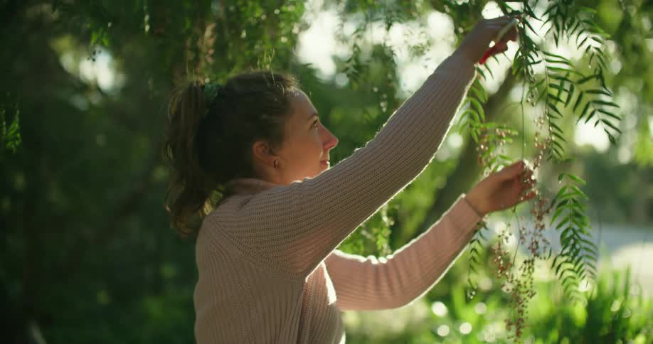 A woman cutting a branch during the day