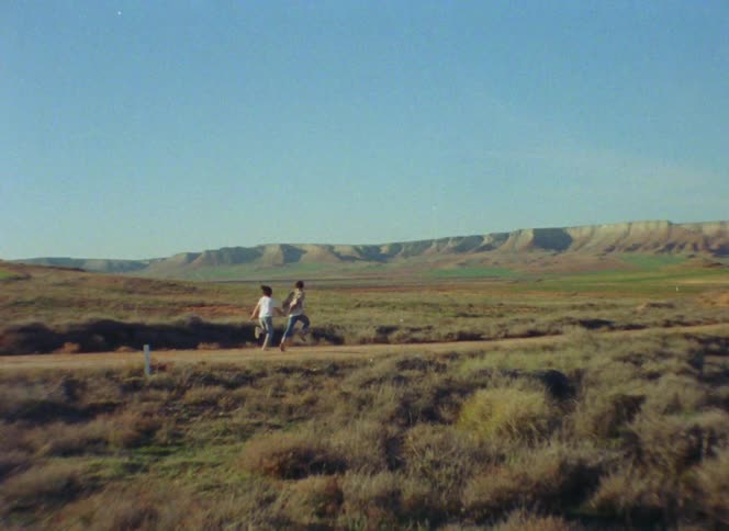 Two people are running outdoors in a rural area