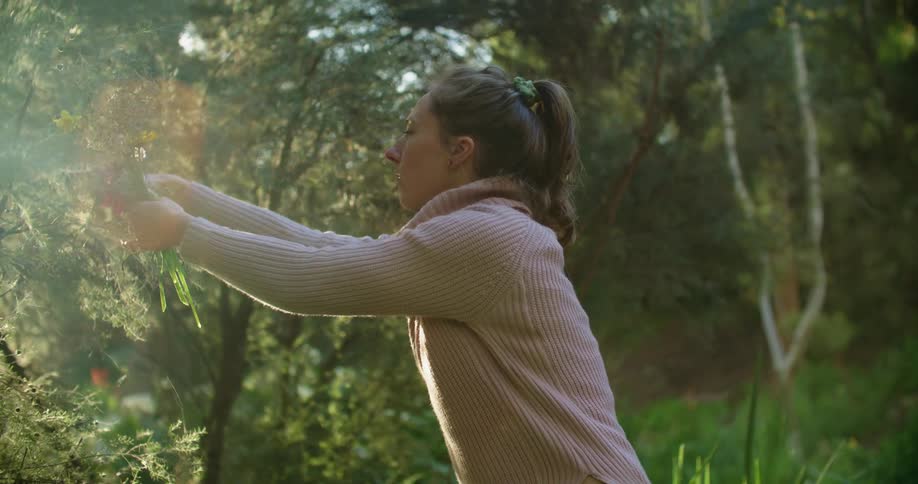 A woman clips flowers from a tree