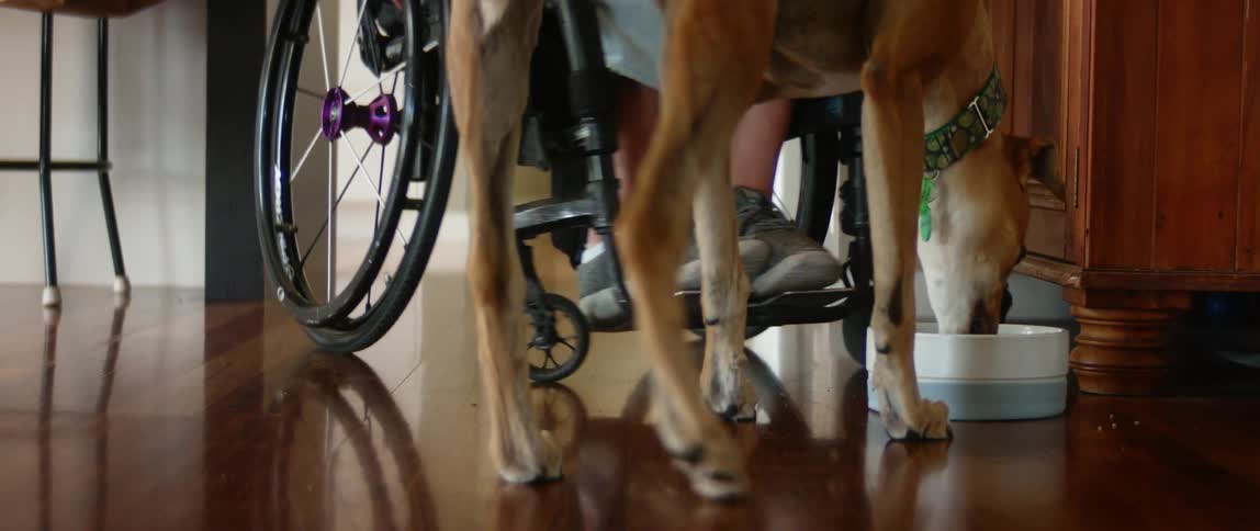 A woman at home in a wheelchair sets down a bowl of food for her dog who eats it