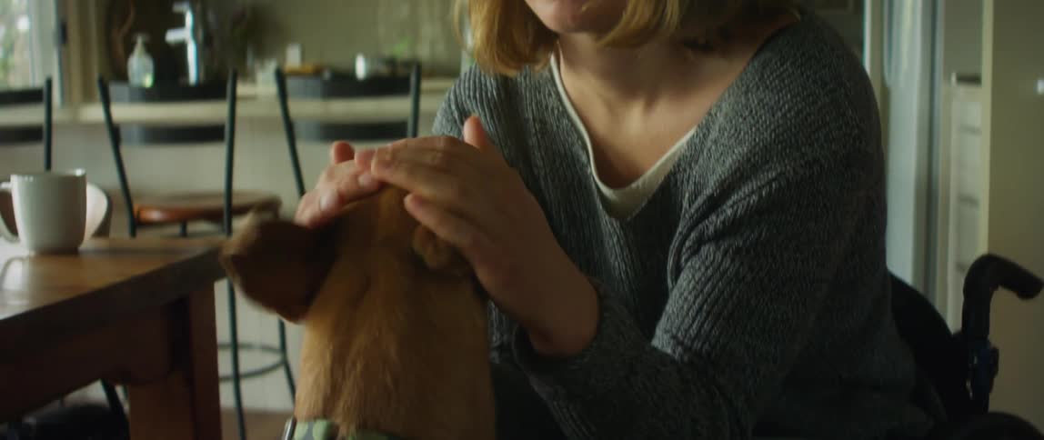 Young woman sitting on a wheelchair pets her dog in the living room at home