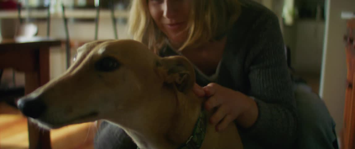 Woman sitting in chair at home pets a dog