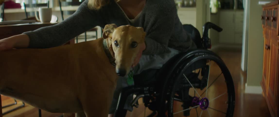 A woman petting a dog