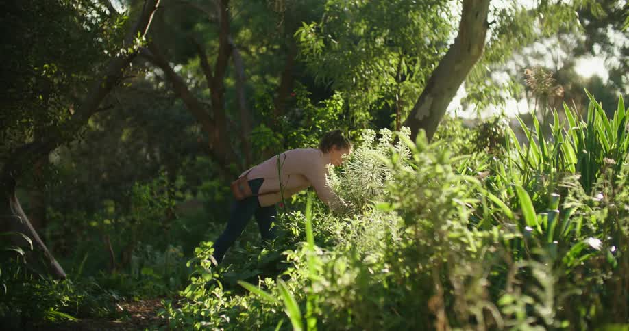 A woman is picking herbs in the forest