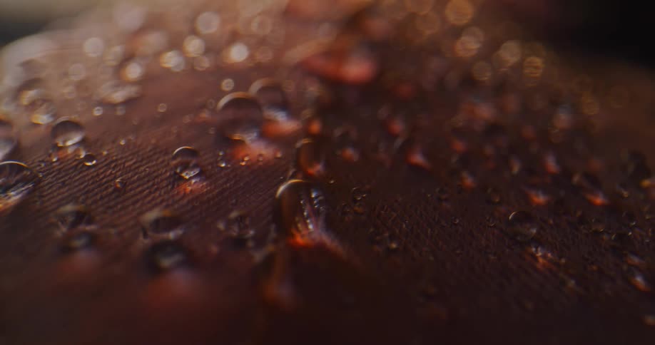 Rain droplets are shown close up on an object