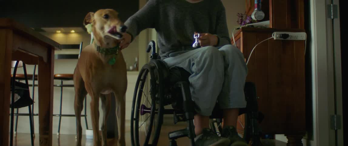 Woman in wheelchair leashes dog as another person walks out of the kitchen in the background