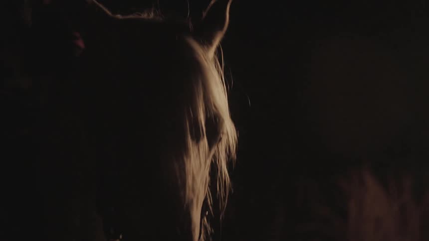 A horse with a rider stands near a fire