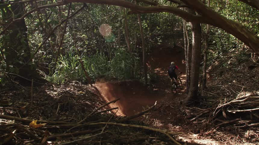 A person mountain bikes on a dirt trail in a forest