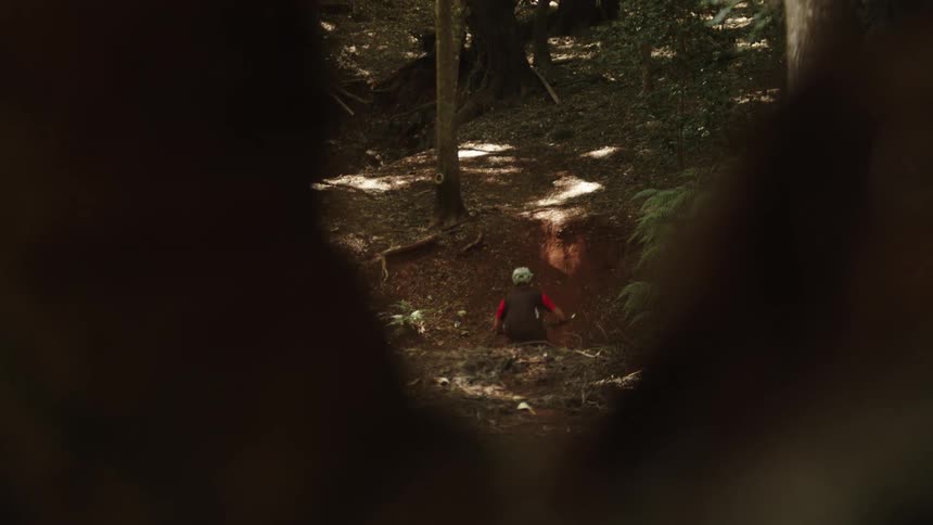 A cyclist rides into a large hole in the forest