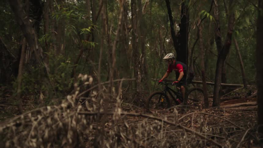 A cyclist does a wheelie while cycling offroad through a woodland during the day