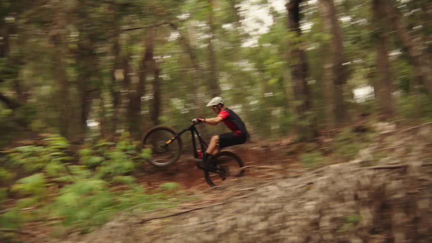 A man popping a wheelie on a mountain bike while riding through a forest
