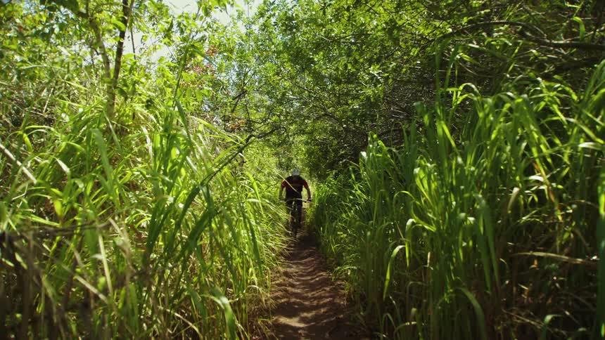 A cyclist rides down a narrow dirt trail in a jungle
