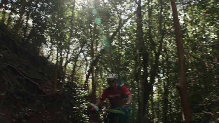 A cyclist rides through a dense jungle