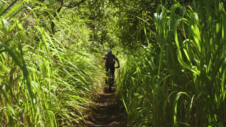 Cyclist rides bicycle along narrow dirt path between tall overgrowth in woods and nearby field