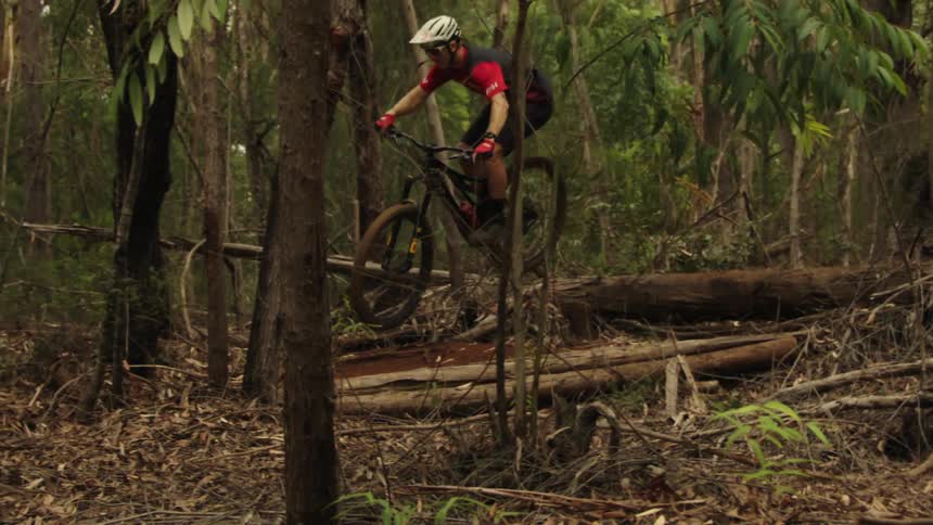 A man jumping over a fallen tree in a forest on a mountain bike