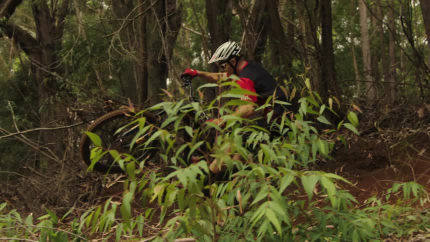 Man drives a motocross bicycle on a trail downhill through a forest at daytime