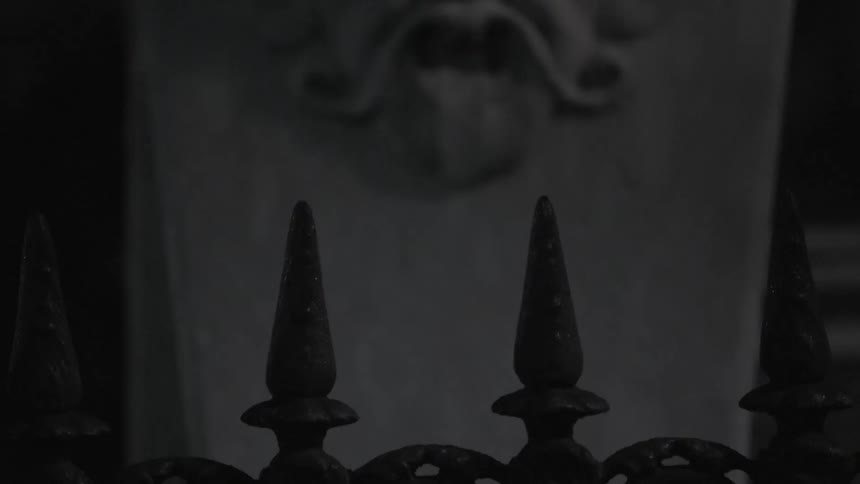 A face is carved onto a stone pillar behind a fence