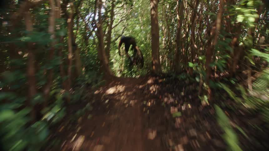 A cyclist rides down a bumpy dirt trail in the woods