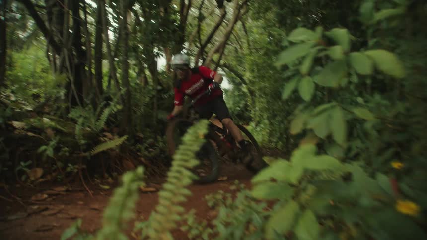 A cyclist flies through the air while riding down a trail in the woods