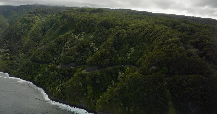 An aerial view of a lush green island on an overcast day