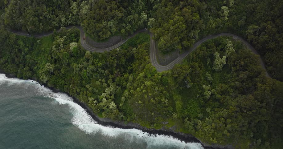 A downwards aerial view of trees and other greenery is shown from high above as well as a single road with cars on it