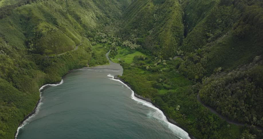 Aerial view of a river in the forest is displayed