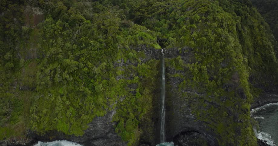 A waterfall down a cliff covered in vegetation into the ocean below