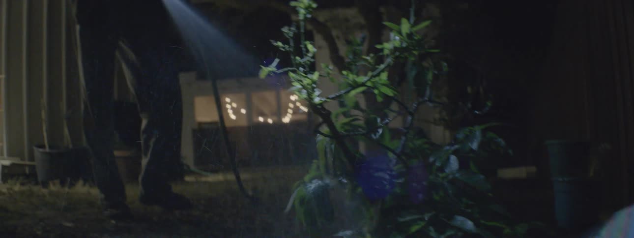 A person watering their outdoor plants on a summer night