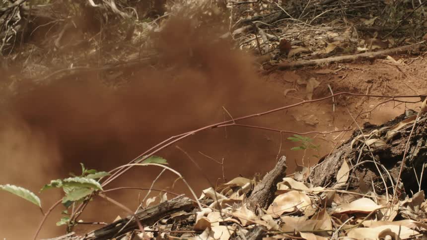 Dirt flies up as a cyclist rides down a dirt trail