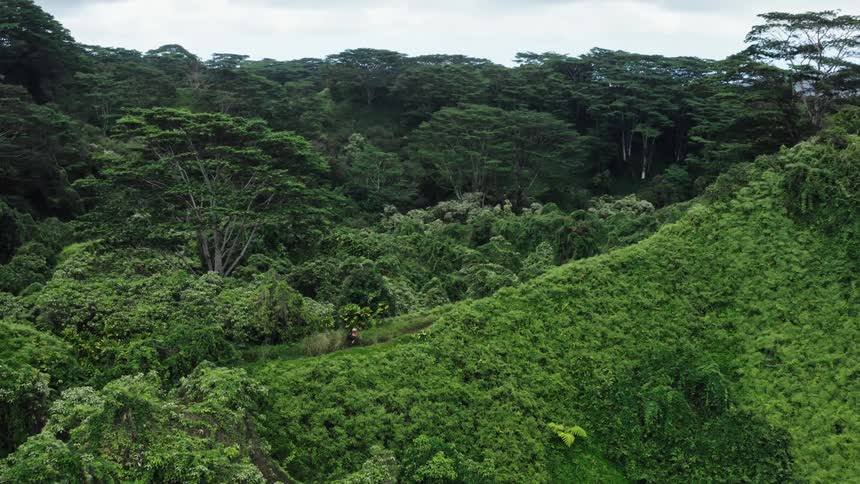 A cyclist rides a bicycle along a mountain ridge covered in dense vegetation on a cloudy day