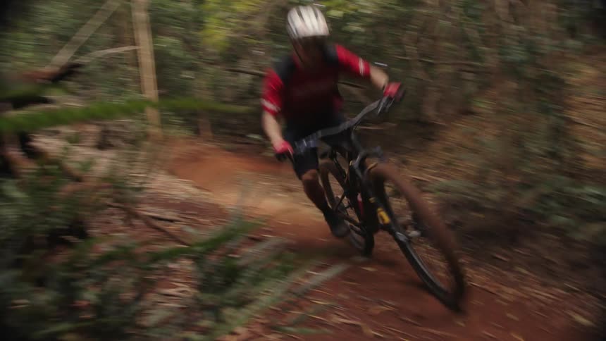 A person is biking through the forest during spring