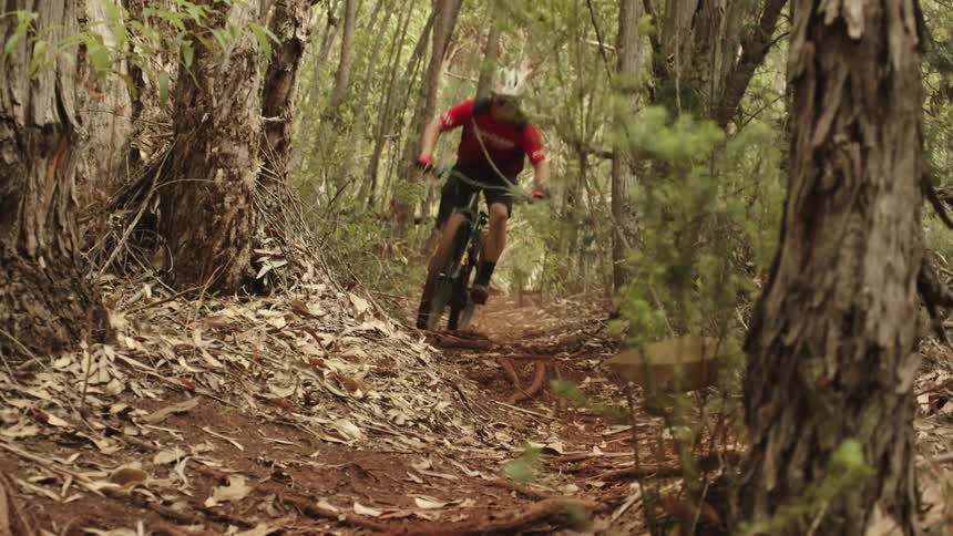A man is dirt biking through a forest in spring