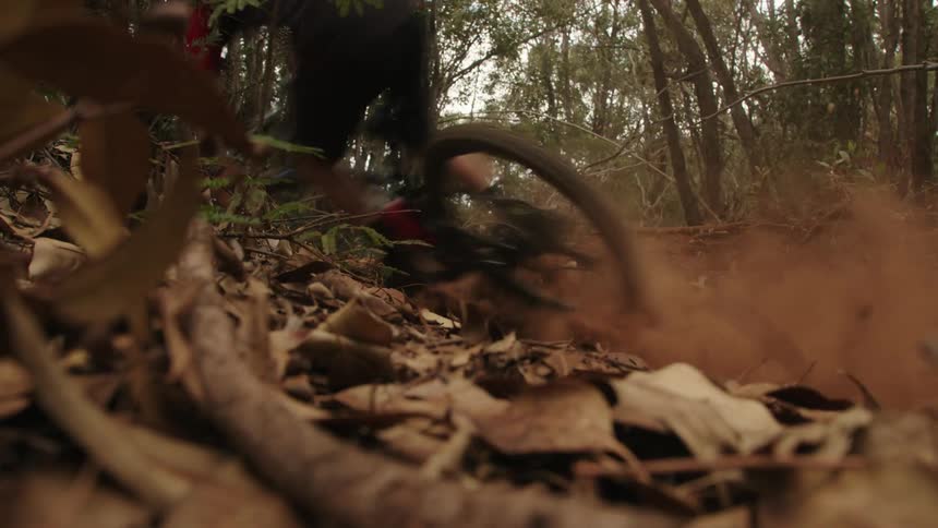 Dust flies up as a person mountain bikes down a dirt trail