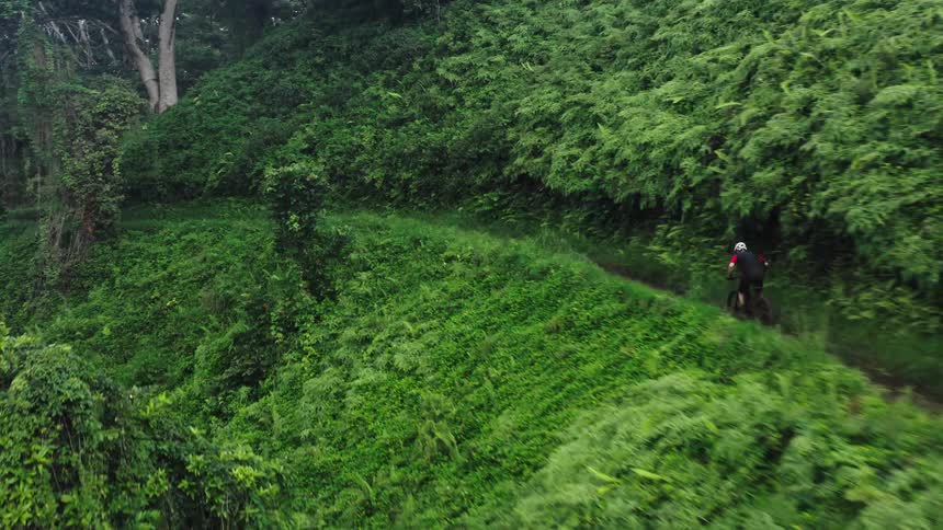 A person is riding a bike through a forest