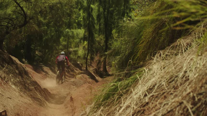 A man rides his bicycle very fast down a dirt path in the woods while jumping over bumps in the path with ease