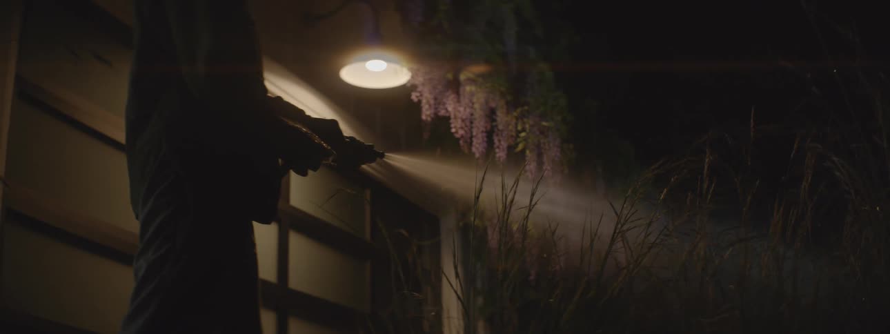 A person watering their outdoor plants on a summer night