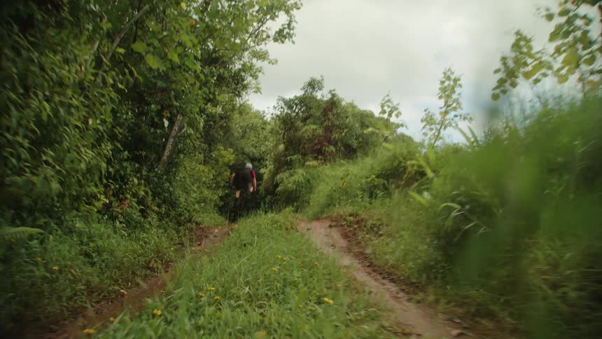 A man rides his bike very fast down a dirt hill in the woods and does a dangerous jumping trick at the end