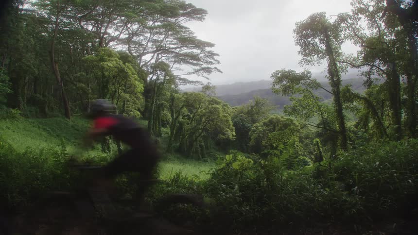 A man is biking through a forest during spring