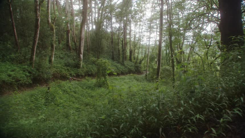 A teenager on a bike rides around a curve on a dirt trail in the woods