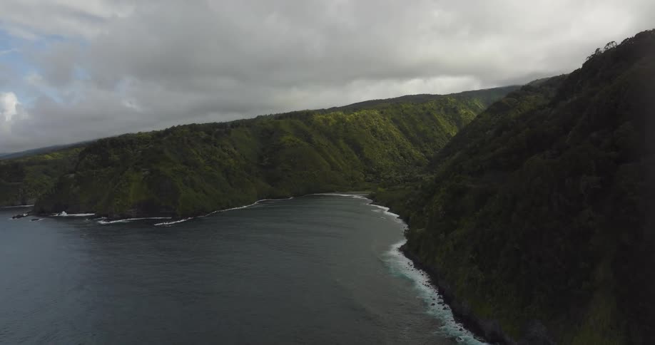 Forest covers slopes bordering the coast under an overcast sky