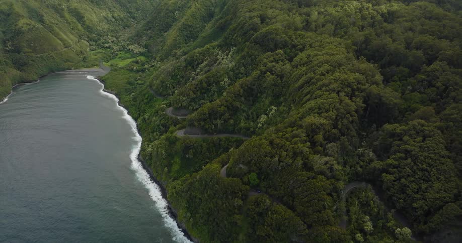An aerial view of a lush green coastal area