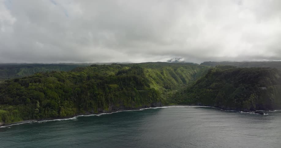 An aerial view of a lush green coastal area on a cloudy day